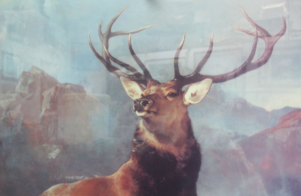 Monarch of the Glen Print Monarch of the Glen Print